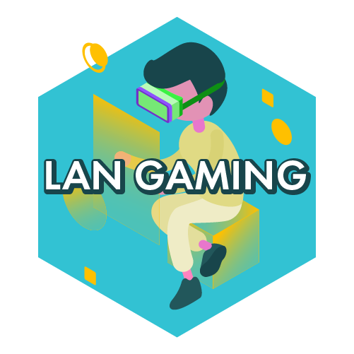 LAN Gaming